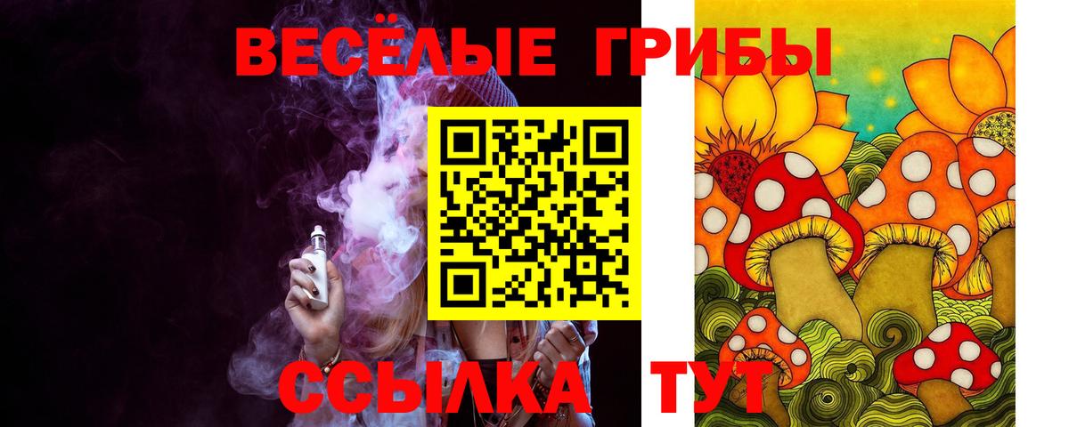 Галлюциногенные грибы Cubensis  Вход с VPN  Тихвин 